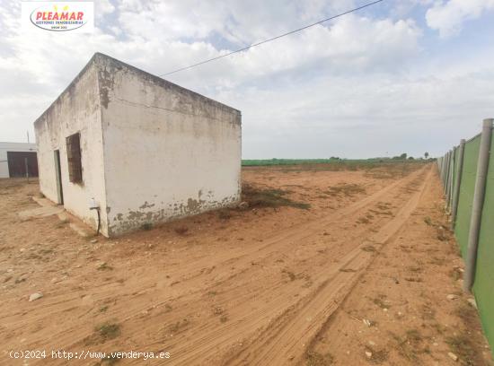 CAMPO CON CASETA AGRICOLA   ZONA CMAINO DEL OLIVAR - CADIZ