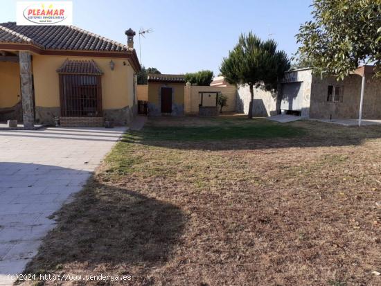 CASA CON TERRENO  DE TRES DORMITORIOS      ZONA PINAR DE LA VILLA - CADIZ