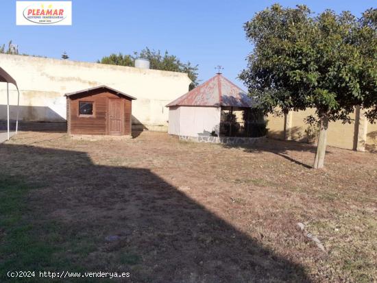 CASA CON TERRENO  DE TRES DORMITORIOS      ZONA PINAR DE LA VILLA - CADIZ