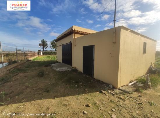 CAMPO CON NAVE DE 50 M2      ZONA LOMA BAJA - CADIZ