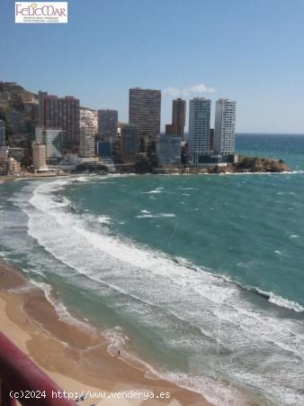 BENIDORM - ALQUILER EN 1ª LINEA PLAYA DE LEVANTE - ALICANTE