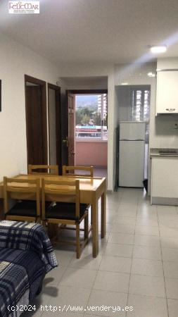 APARTAMENTO EN ZONA MERCADONA/ALFONSO PUCHADES-Ven a verlo!! - ALICANTE