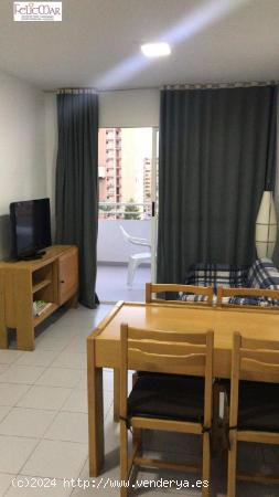 APARTAMENTO EN ZONA MERCADONA/ALFONSO PUCHADES-Ven a verlo!! - ALICANTE