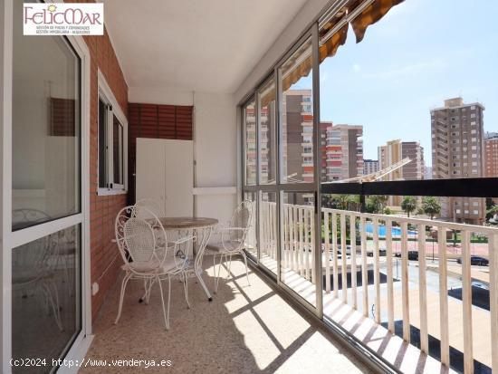 APARTAMENTO EN VENTA-Zona H.Victoria/H.Princesa/Mercadona - Benidorm - ALICANTE