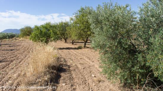 Se Vende en Onil - ALICANTE