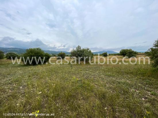 PARCELA DE 10049 M2 CERCANA AL PUEBLO DE ONIL !! - ALICANTE