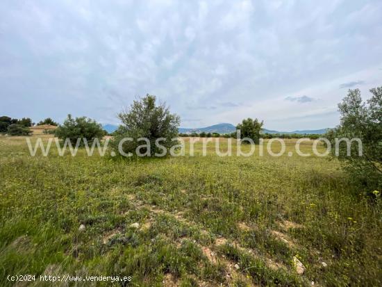 PARCELA DE 10049 M2 CERCANA AL PUEBLO DE ONIL !! - ALICANTE