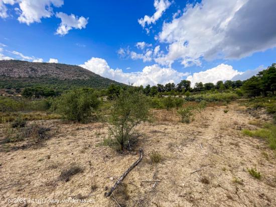 FINCA RUSTICA EN EL CORAZON DE LA MONTAÑA DE IBI - ALICANTE