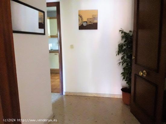 Ático en venta zona Altozano con 113m2 de superficie, 4 dormitorios,2 baños - ALICANTE