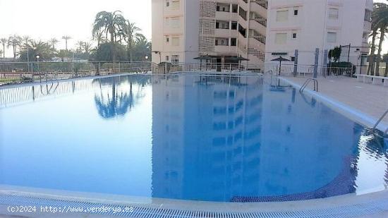 Apartamento en primera línea de playa!! Espectaculares vistas !! - ALICANTE