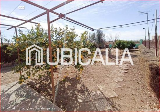 UBICALIA VENDE ALQUERÍA EN LA HUERTA DE ALBORAYA CON TERRENO (VALENCIA) - VALENCIA