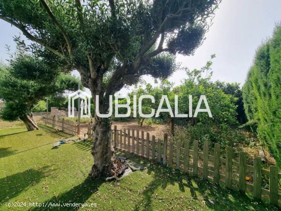 UBICALIA REAL ESTATE VENDE 2 MAGNÍFICAS VIVIENDAS CON TERRENO DE  HUERTA VALENCIANA EN ALBORAYA. - 