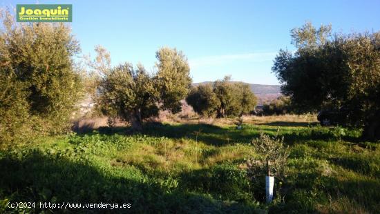 TERRENOS RUSTICOS EN BARRIADA DEL ÁNGEL - CORDOBA