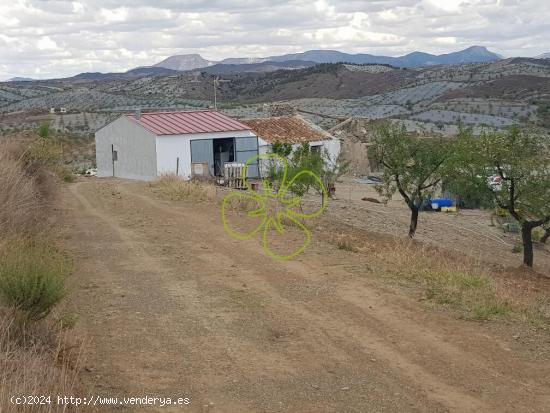 Se vende finca rustica con casa cortijo para restaurar. - MURCIA