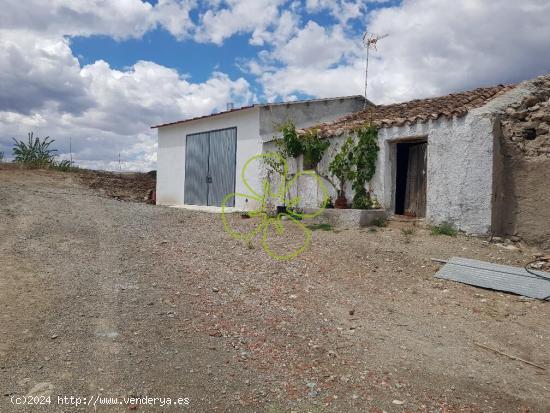 Se vende finca rustica con casa cortijo para restaurar. - MURCIA