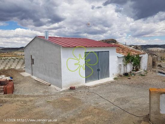 Se vende finca rustica con casa cortijo para restaurar. - MURCIA