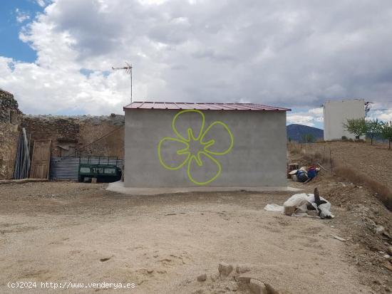 Se vende finca rustica con casa cortijo para restaurar. - MURCIA