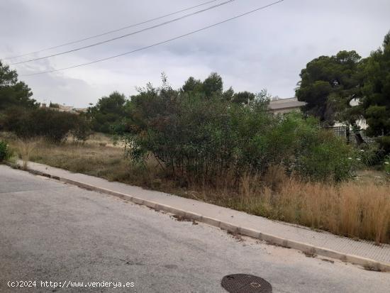 Parcela urbanizable cerca de campo de golf en Orihuela Costa - ALICANTE