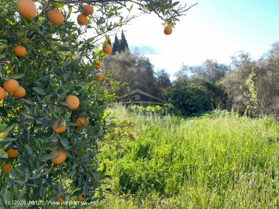 CORTIJO EN CHERÍN - GRANADA