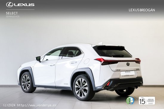 Lexus UX 250H F SPORT CUERO 2WD - A Coruña