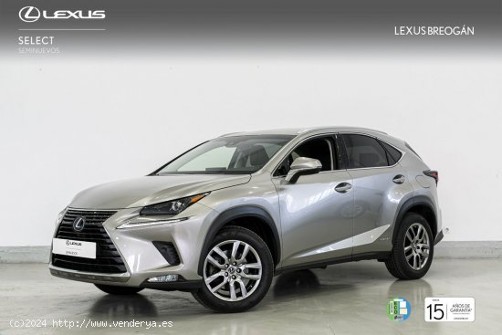 Lexus NX 300H EXECUTIVE KICK POWER NAVIGATION - A Coruña