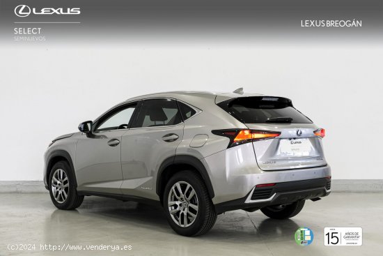 Lexus NX 300H EXECUTIVE KICK POWER NAVIGATION - A Coruña