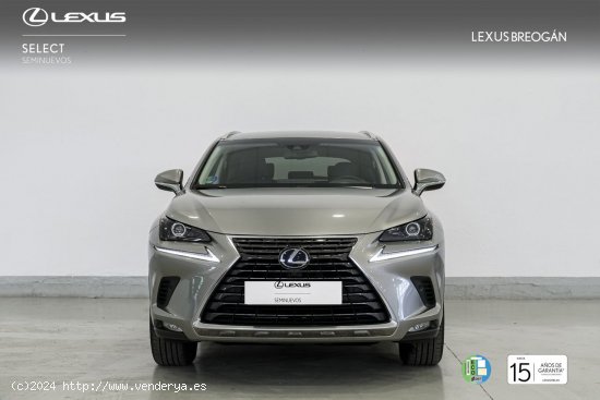 Lexus NX 300H EXECUTIVE KICK POWER NAVIGATION - A Coruña