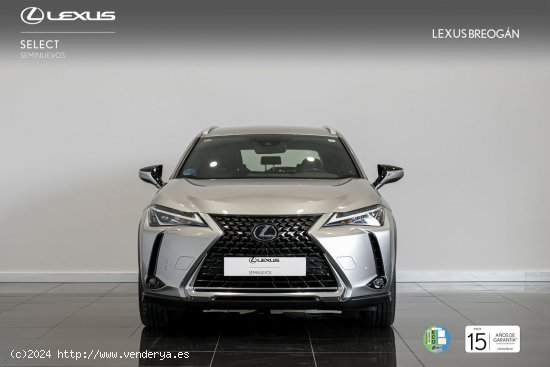 Lexus UX 250H EXECUTIVE - A Coruña