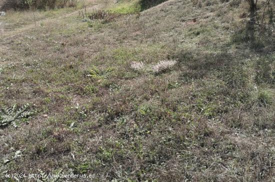 Se vende Terreno Urbano y Rústico en Fuentealbilla - ALBACETE