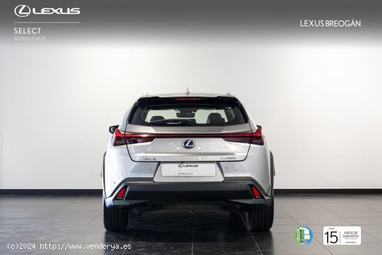 Lexus UX 250H LUXURY - A Coruña