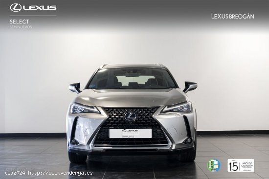 Lexus UX 250H LUXURY - A Coruña