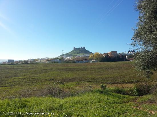  Se vende Finca (Suelo Urbanizable Sectorizado incluida en el PGOU) en Almodóvar del Río, Córdoba  