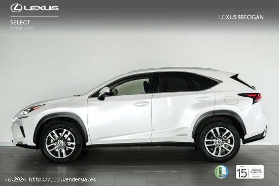 Lexus NX 300H 4WD EXECUTIVE NAVIGATION - A Coruña