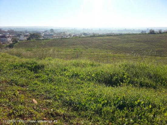 Se vende Finca (Suelo Urbanizable Sectorizado incluida en el PGOU) en Almodóvar del Río, Córdoba 