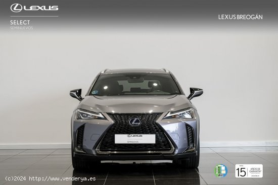 Lexus UX 250H F - SPORT - A Coruña