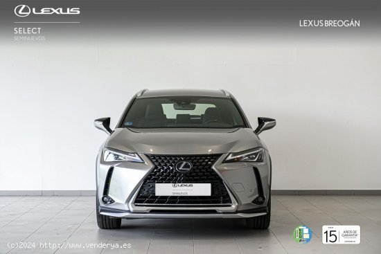 Lexus UX 250H 4WD EXECUTIVE NAVIGATION - A Coruña