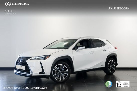  Lexus UX 250H EXECUTIVE PLUS - A Coruña 