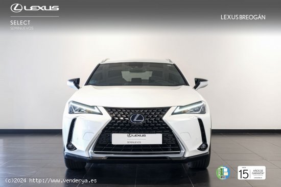 Lexus UX 250H EXECUTIVE PLUS - A Coruña