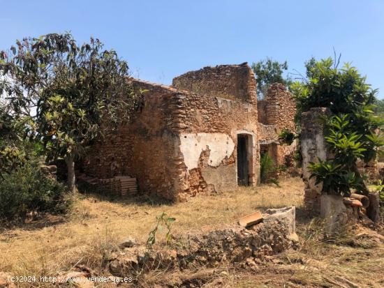 ¿QUIERES UN PRADO EN LAS CASAS DE ALCANAR?! - TARRAGONA