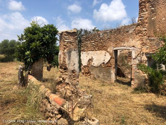 ¿QUIERES UN PRADO EN LAS CASAS DE ALCANAR?! - TARRAGONA