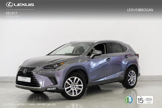  Lexus NX 300H 4WD EXECUTIVE NAVIGATION - A Coruña 