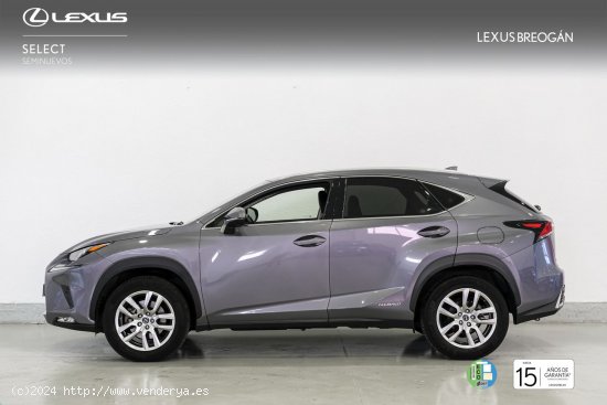 Lexus NX 300H 4WD EXECUTIVE NAVIGATION - A Coruña