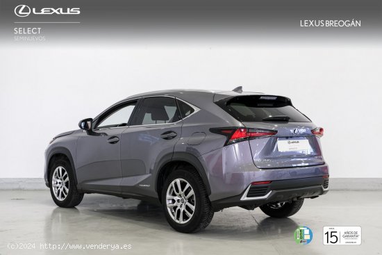 Lexus NX 300H 4WD EXECUTIVE NAVIGATION - A Coruña