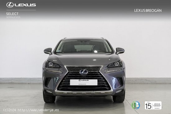 Lexus NX 300H 4WD EXECUTIVE NAVIGATION - A Coruña