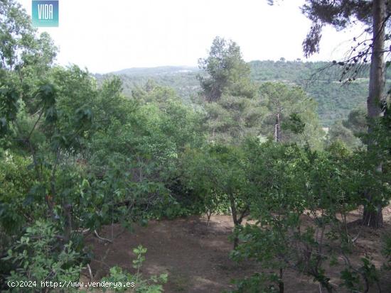 Fantástica parcela en les Brucardes, Sant Fruitós de Bages - BARCELONA