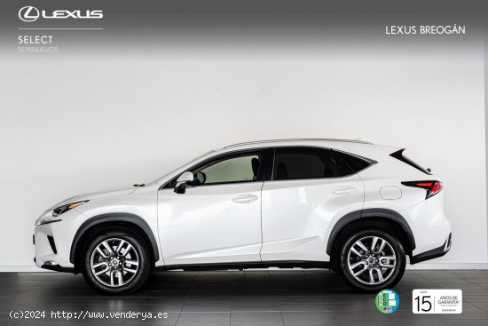 Lexus NX 300H 4WD EXECUTIVE NAVIGATION - A Coruña