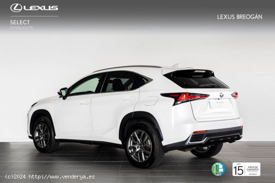 Lexus NX 300H 4WD EXECUTIVE NAVIGATION - A Coruña