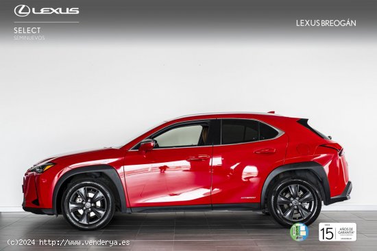 Lexus UX 250H 2WD BUSINESS - A Coruña