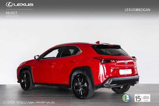 Lexus UX 250H 2WD BUSINESS - A Coruña