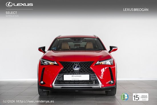 Lexus UX 250H 2WD BUSINESS - A Coruña